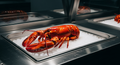 Premium Lobster — Wholesale