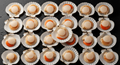 King Scallops — Wholesale